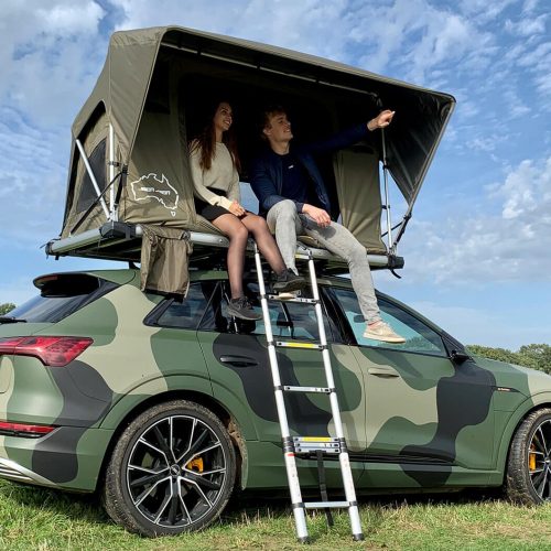 WILD WOLVE Sheepie jimba jimba audi e tron